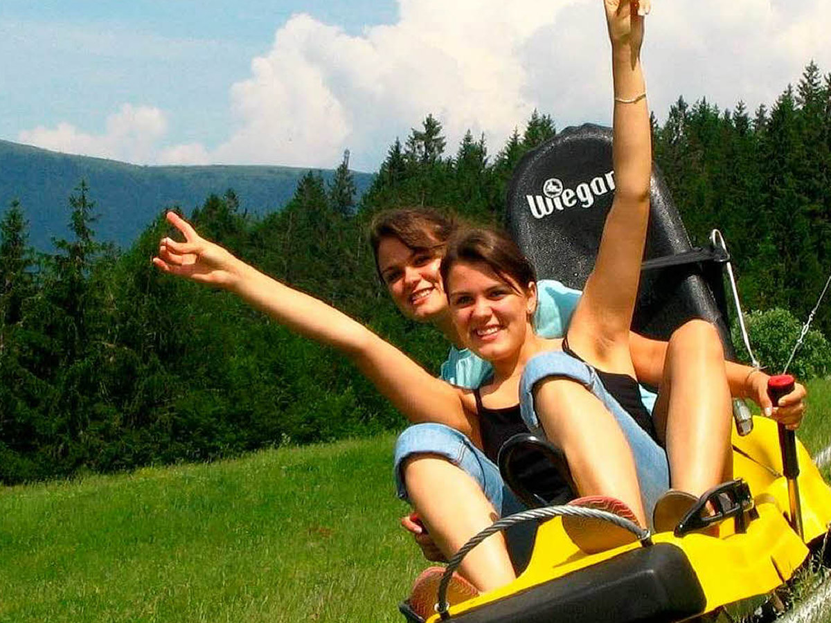 Hasenhorn Coaster Rodelbahn Todtnau