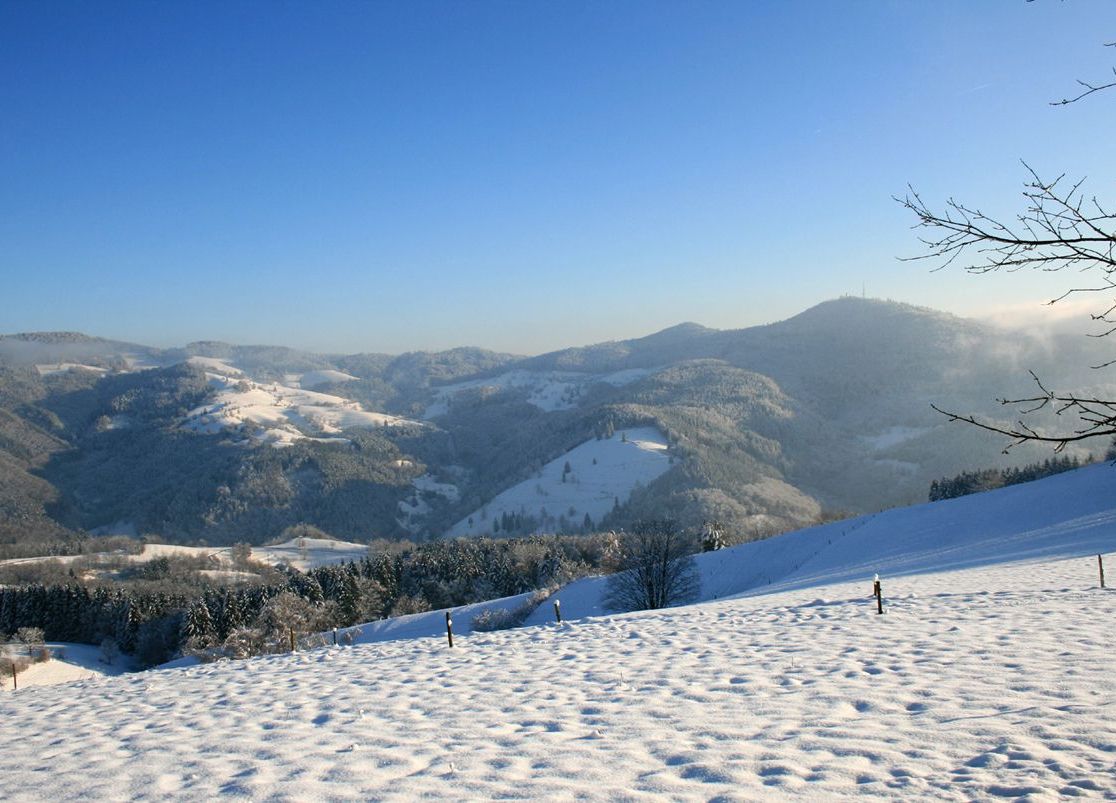 Hotel Restaurant Löwen - Landschaft, Schnee