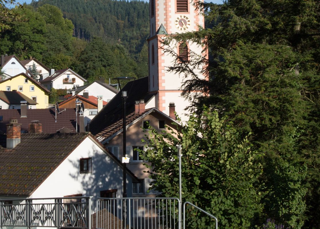 Hotel Restaurant Löwen - Zell im Wiesental