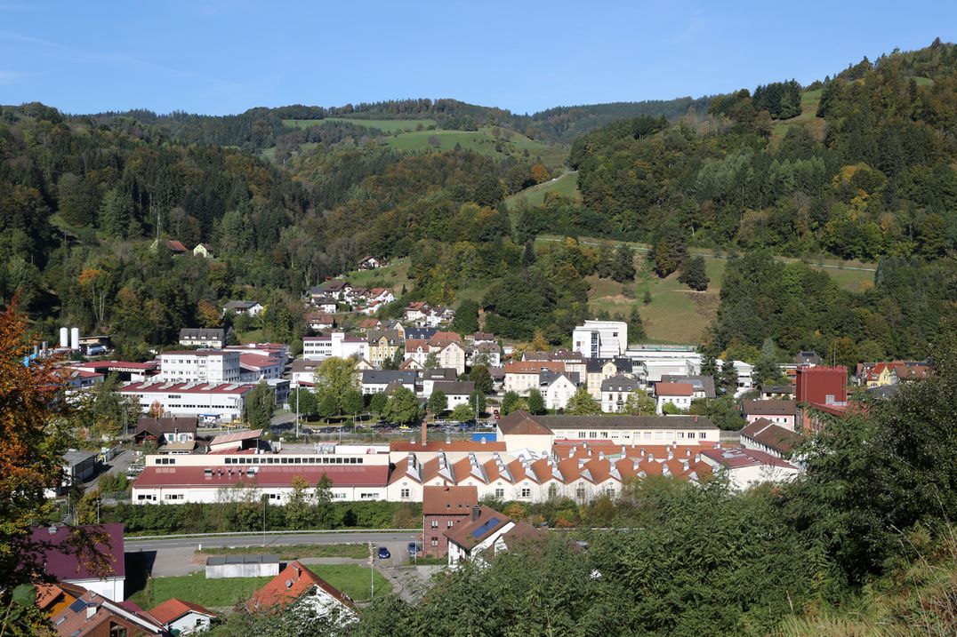 Hotel Restaurant Löwen - Landschaft Zell im Wiesental