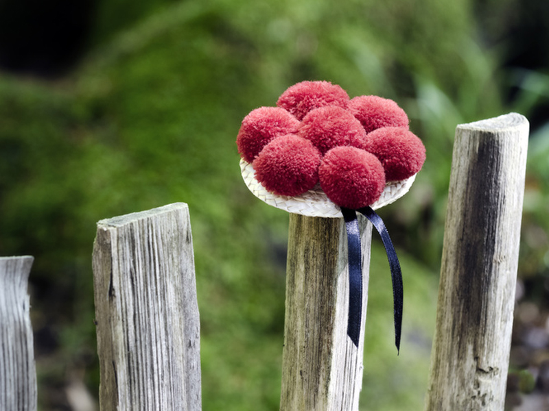 11. Culinary hiking tour in the Zell highlands