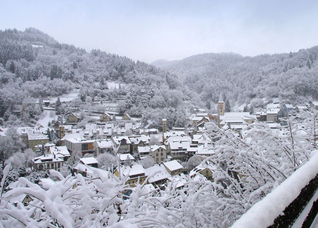 Hotel Restaurant Löwen - Landschaft, Stadt, Schnee