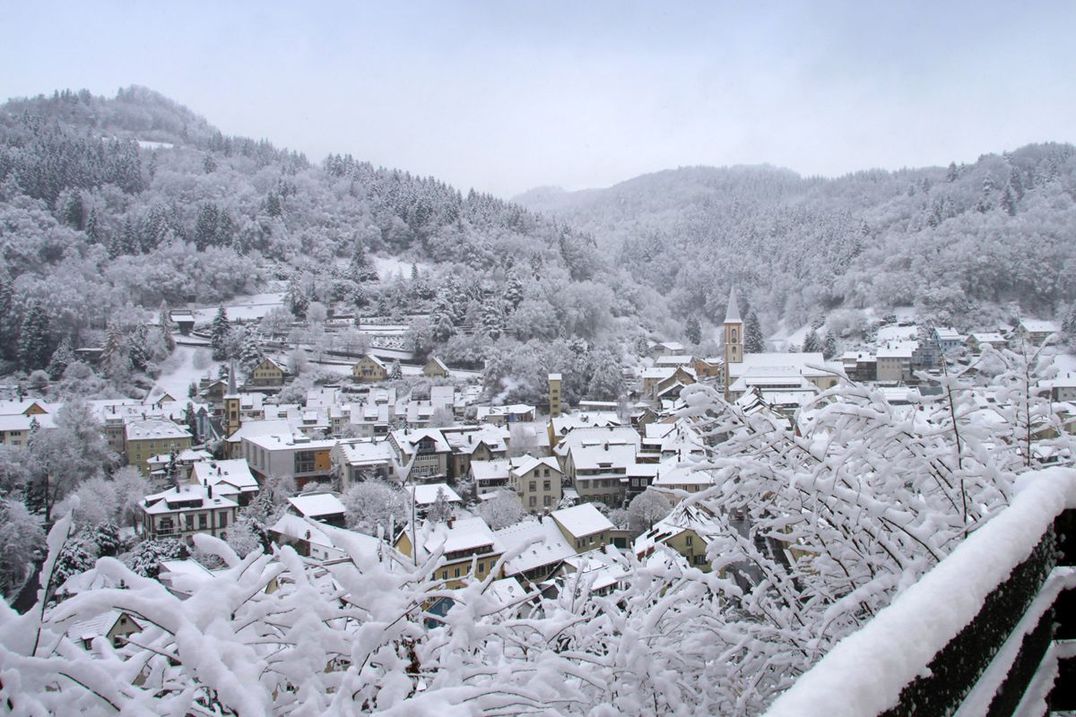Hotel Restaurant Löwen - Landschaft, Stadt, Schnee