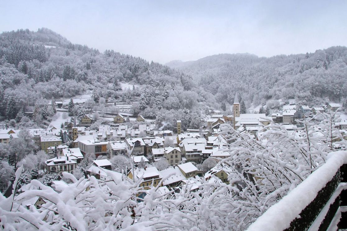 Hotel Restaurant Löwen - Landschaft, Stadt, Schnee