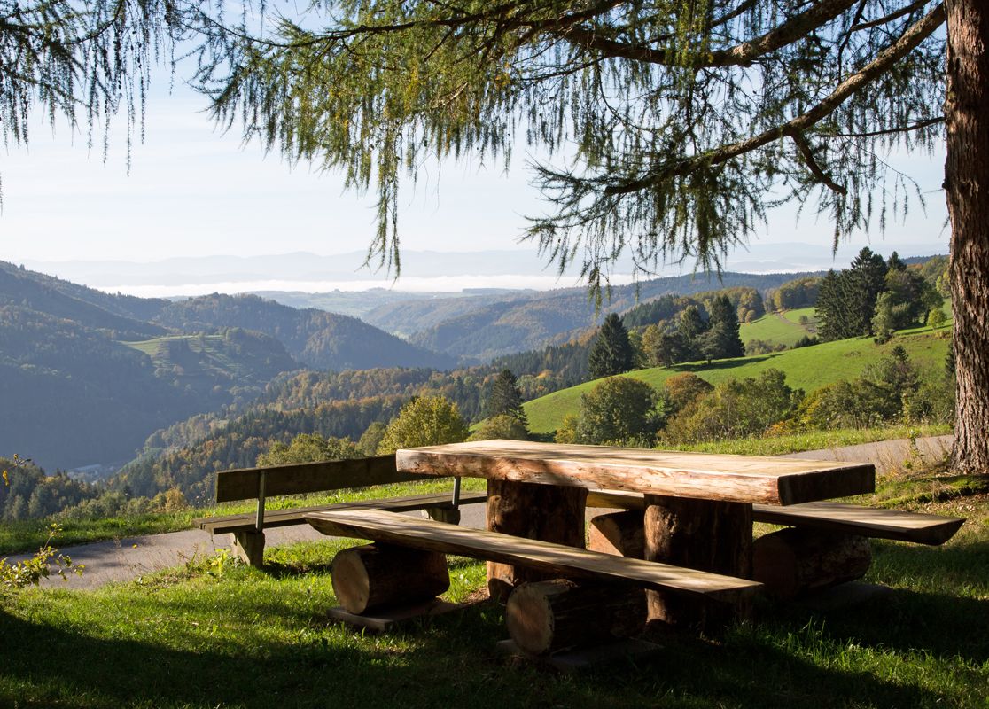 Hotel Restaurant Löwen - Zell im Wiesental
