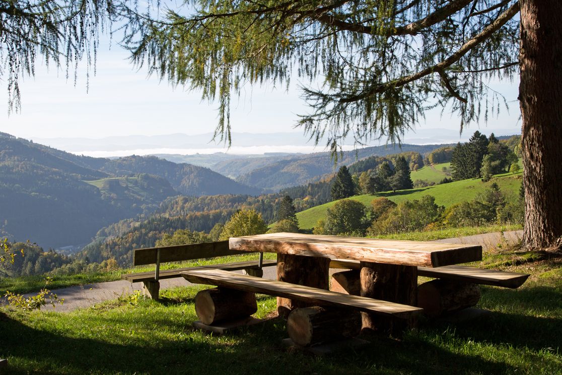 Hotel Restaurant Löwen - Landschaft, Holzbank und Holztisch
