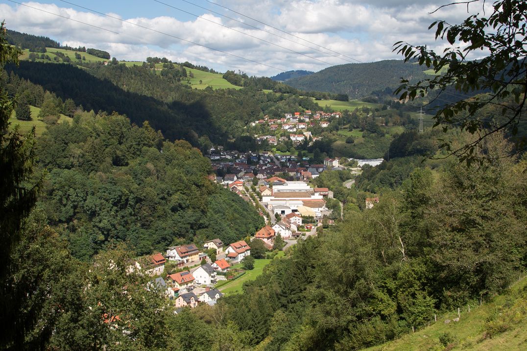 Hotel Restaurant Löwen - Landschaft Zell im Wiesental, Tal