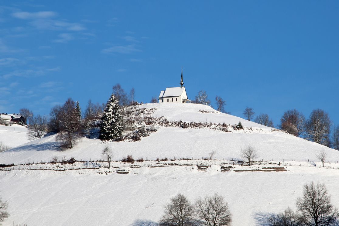Hotel Restaurant Löwen - Landschaft, Schnee